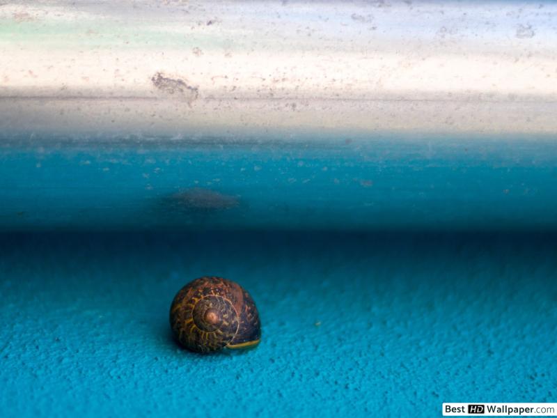 tu pots psicologia psicòlegs manresa