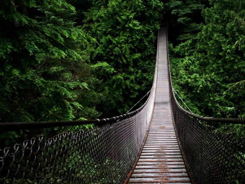 tu pots psicologia psicòlegs manresa