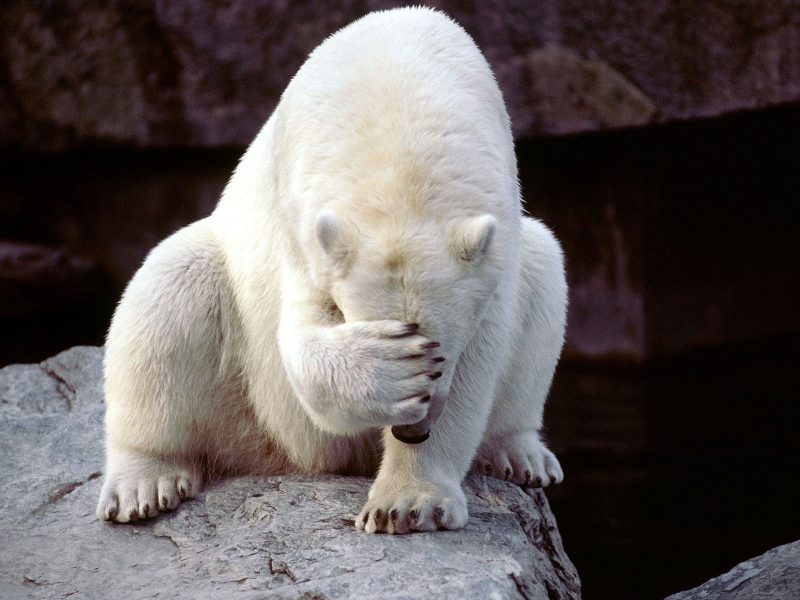 tu pots psicologia psicòlegs manresa